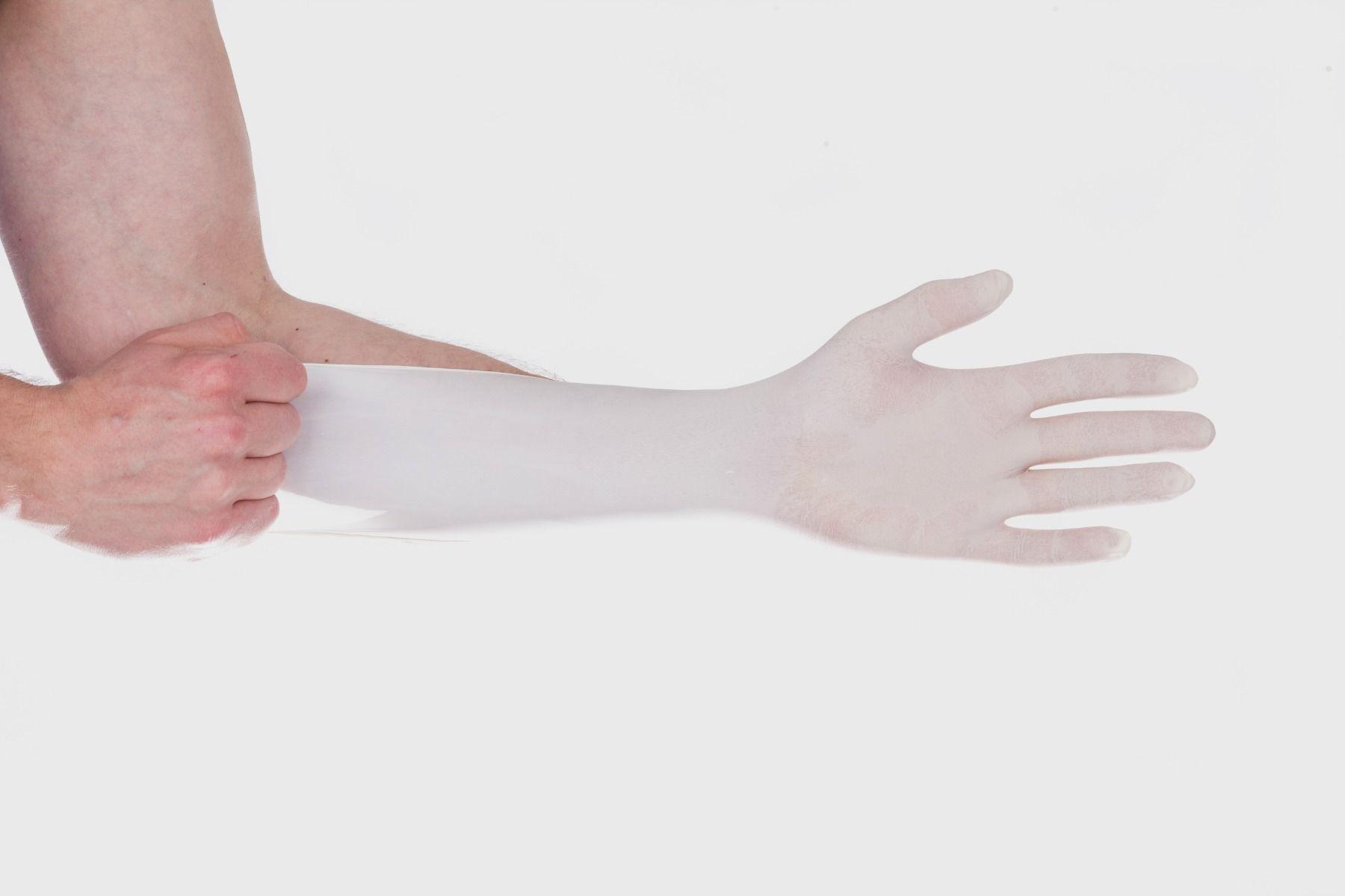 LPFL Latex Powder-Free Gloves L