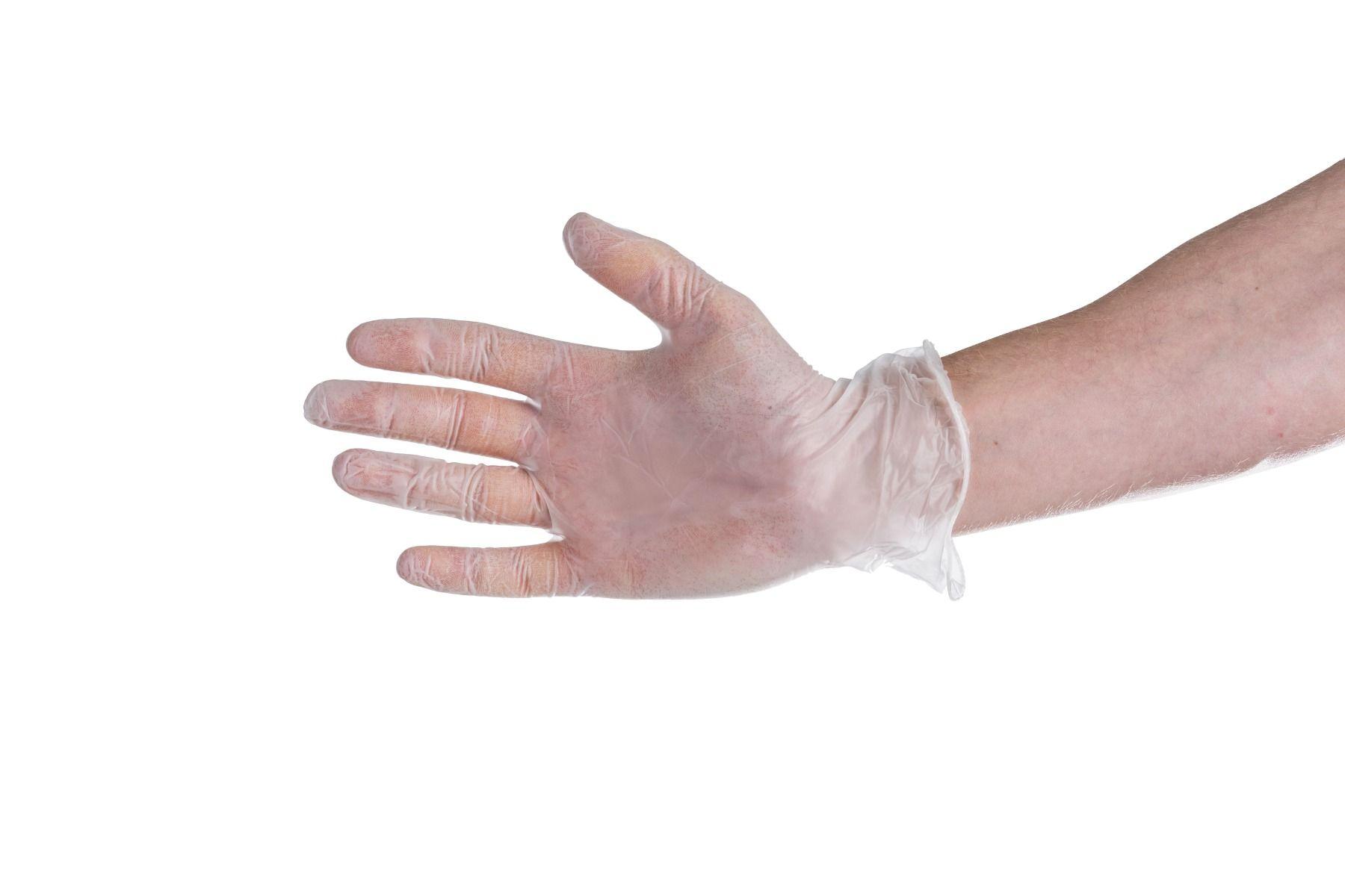 VPFL Gloves Vinyl Powder Free Large